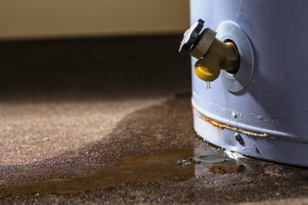 Best Plumbing Leak and Burst Pipe Cleanup in USA