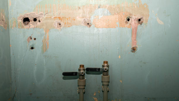 Best Basement Water Damage Restoration in USA